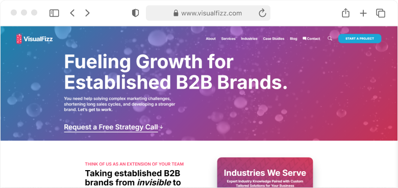 VisualFizz Screenshot
