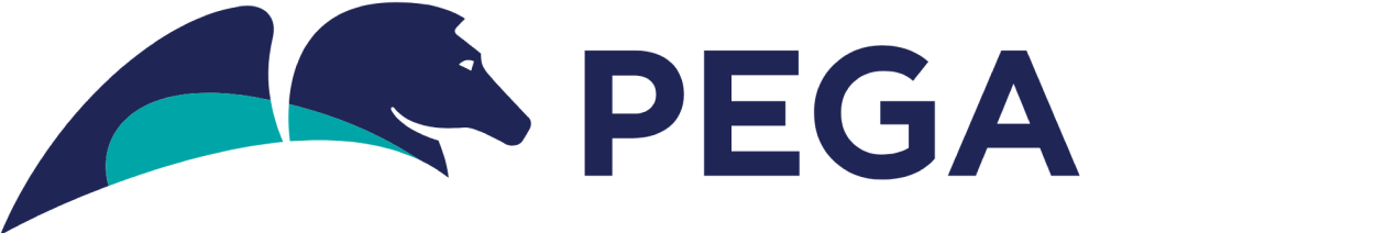 Pega Systems