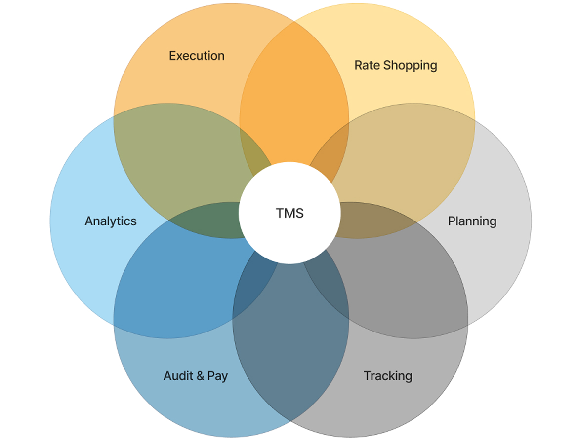 Benefits of a TMS
